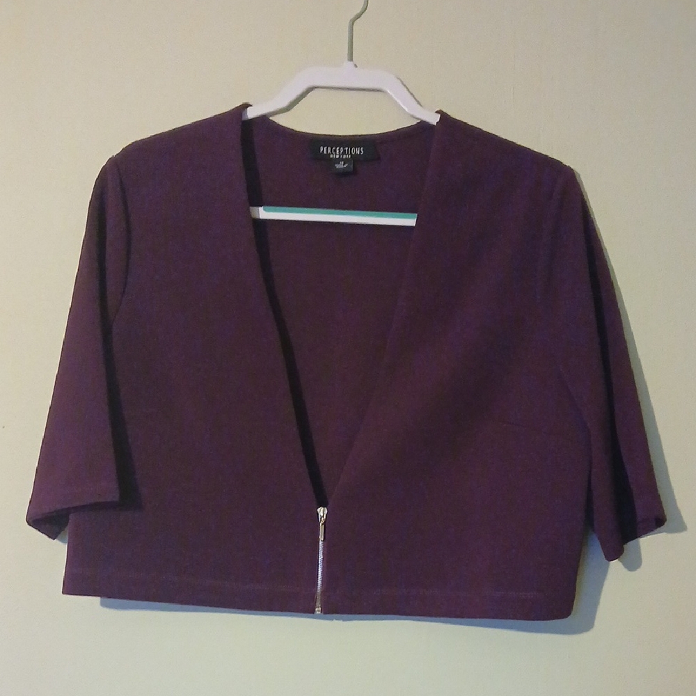 Perceptions Purple Women's Top Size 18